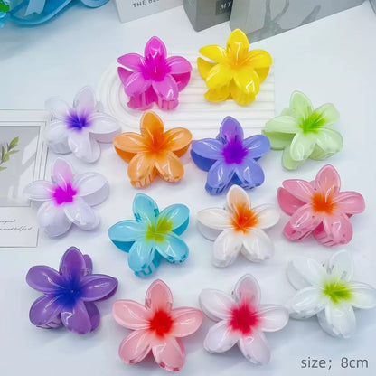 Mixed Claw Hair Clips Dozen (12pcs)